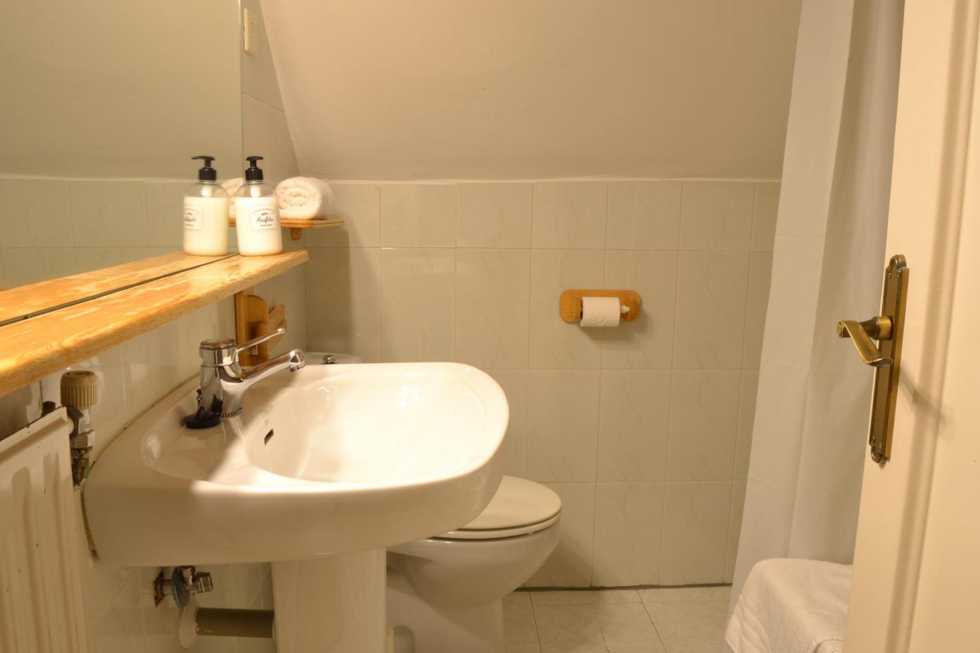 Balaitus Petfriendly - Arafita Apartamentos Sallent de Gállego Eksteriør billede
